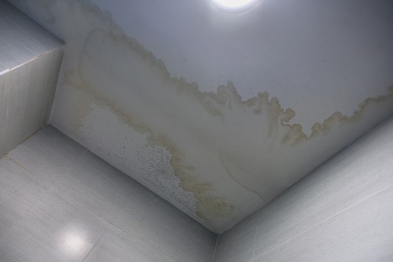 Ceiling Water Leak Repair
