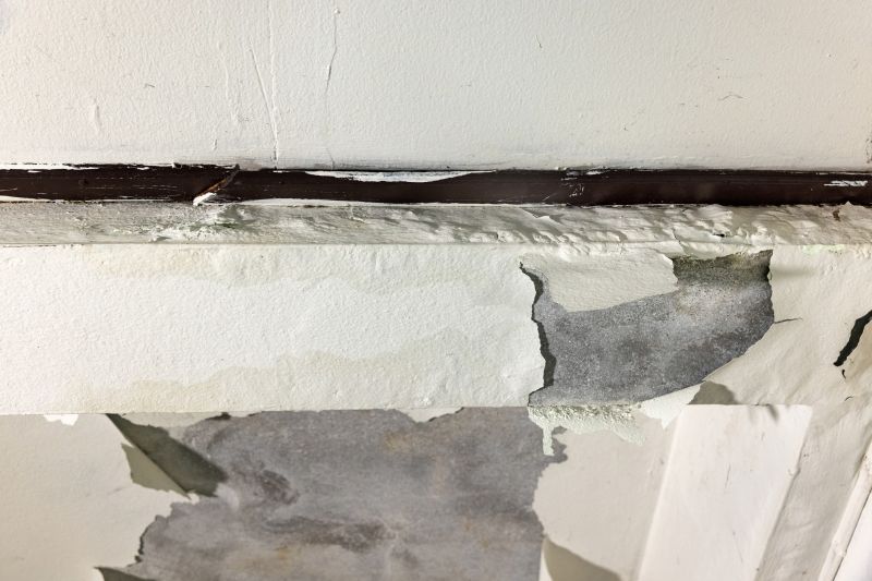 Ceiling Water Leak Repair